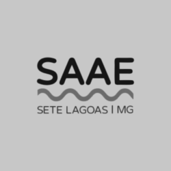 Logo SAAE Website